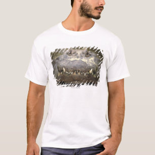 Camiseta Jacaré americano