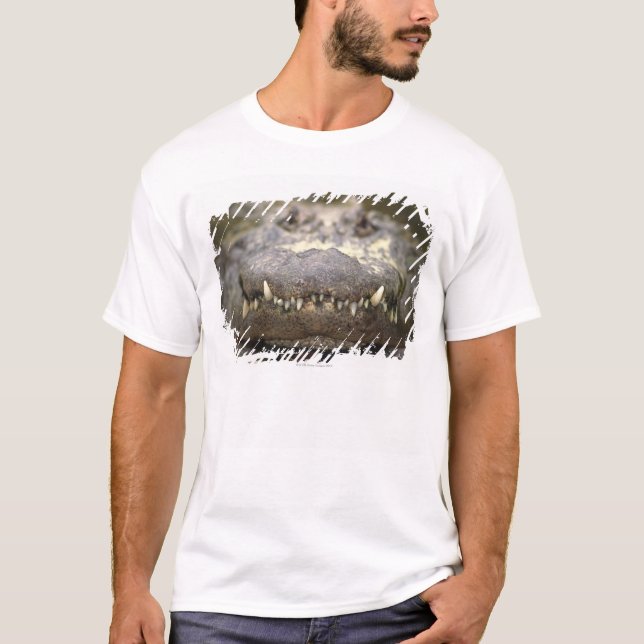 Camiseta Jacaré americano (Frente)