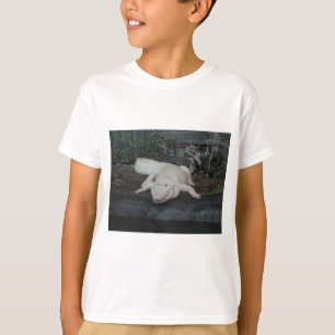 Camiseta jacaré branco