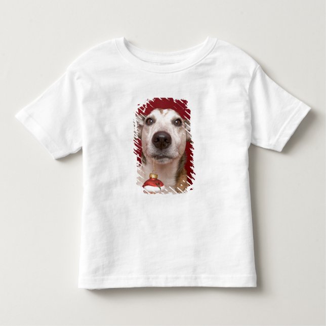 Camiseta Jack Russell Terrier que guardara enfeites de (Frente)