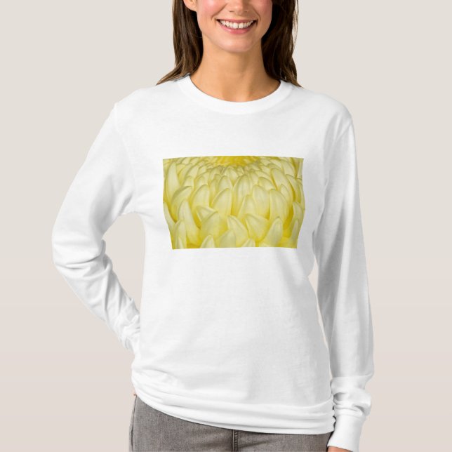 Camiseta Japão, Mie, Santuário de Ise, Crisântemo (Frente)