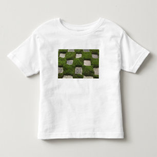 Camiseta Japão, Quioto, Templo Tofukuji, Jardim