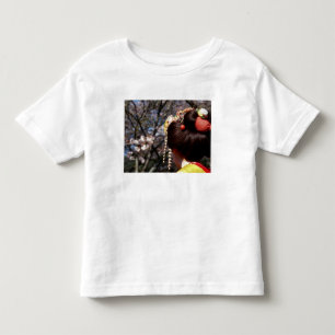 Camiseta Japão, Quioto. Vista traseira aproximada da geisha
