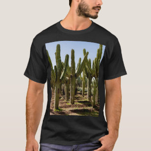 Camiseta Jardim Cactos, paisagem desértica tropical.