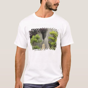 Camiseta Jardim da família Bao, Huangshan, China. 2