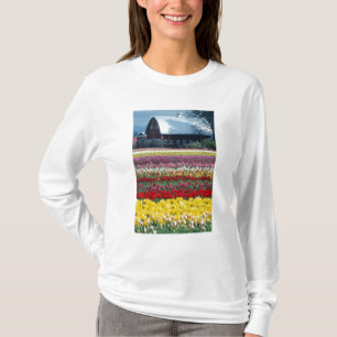 Camiseta jardim de exposição de tulipas, condado de Skagit,