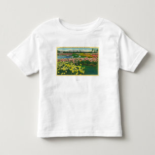 Camiseta Jardim de rosas municipal em Santa Clara County