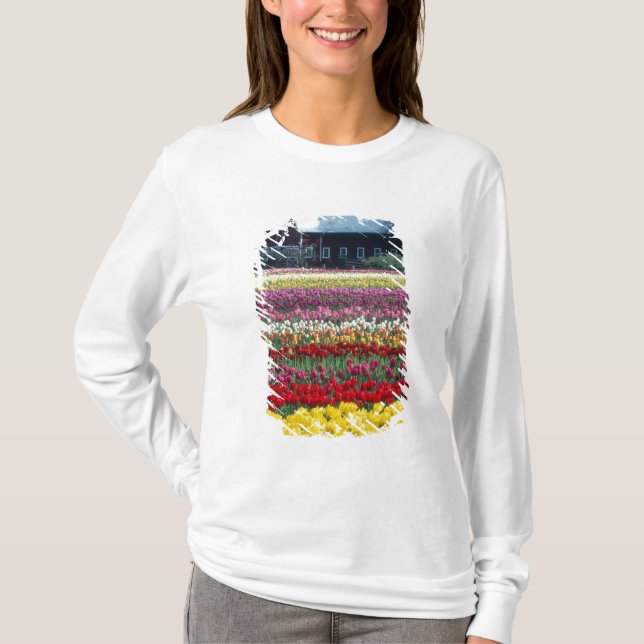 Camiseta jardim de tulipas, condado de Skagit, (Frente)