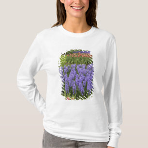 Camiseta Jardim de Tulipas e Jacintos, Jardins Keukenhof,