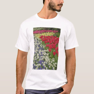 Camiseta Jardim de tulipas e narcisos, Jardins Keukenhof,
