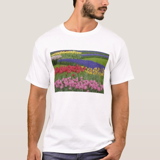 Camiseta Jardim de tulipas, jacintos e (Frente)