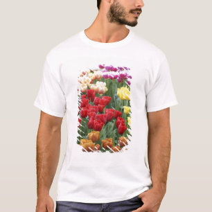 Camiseta Jardins Keukenhof, Holanda, especializa-se em 2
