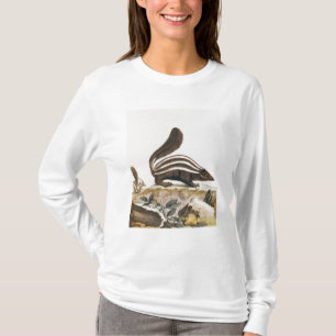 Camiseta Jaritataca, de "Histoire Naturelle" perto