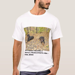 Camiseta Jerry & García que relaxam - Springfield, MÃES E