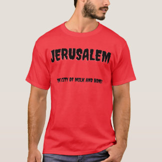 Camiseta Jerusalém a Cidade do Leite e do Mel rapaz