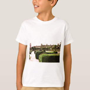 Camiseta jGibney do jardim snap-28575 de Stratford-em