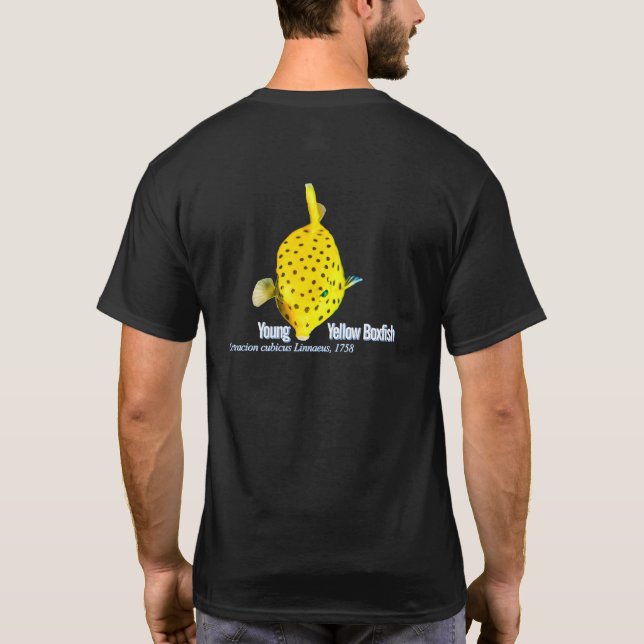 Camiseta Jovem Peixe-Caixa Amarelo (Verso)