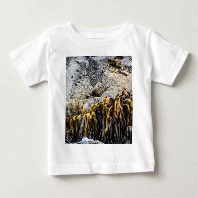 Camiseta Jovem Selo De Peles Na Rocha (Frente)