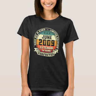 Camiseta Junho De 2009 13 Aniversário 13 Anos De Perfeição