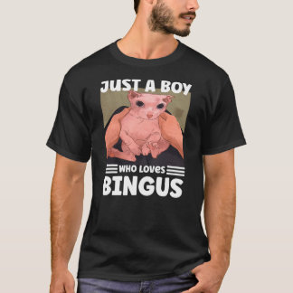 Camiseta Just A Boy Who Loves BINGUS cat