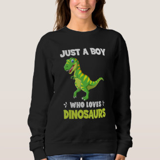 Camiseta Just A Boy Who Loves Dinosaurs Rawr Rex Dinosaur