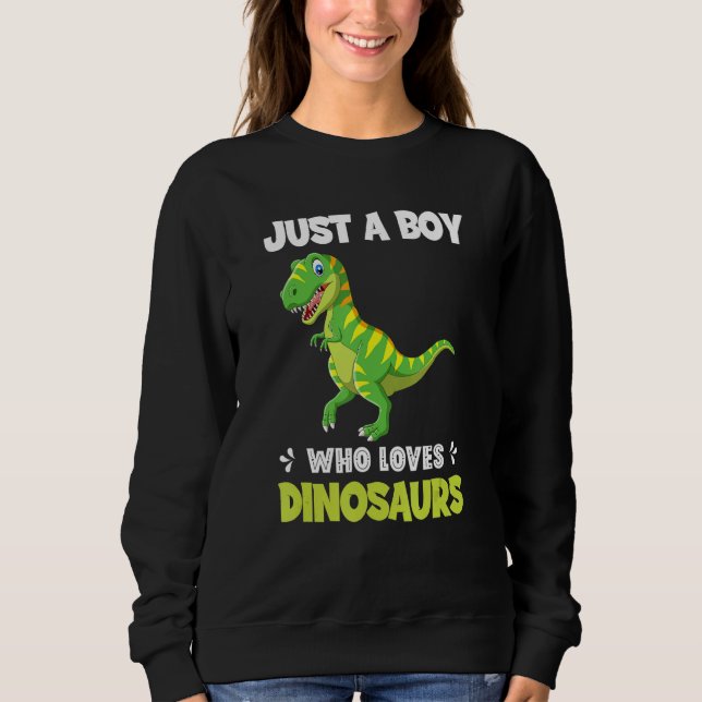 Camiseta Just A Boy Who Loves Dinosaurs Rawr Rex Dinosaur (Frente)
