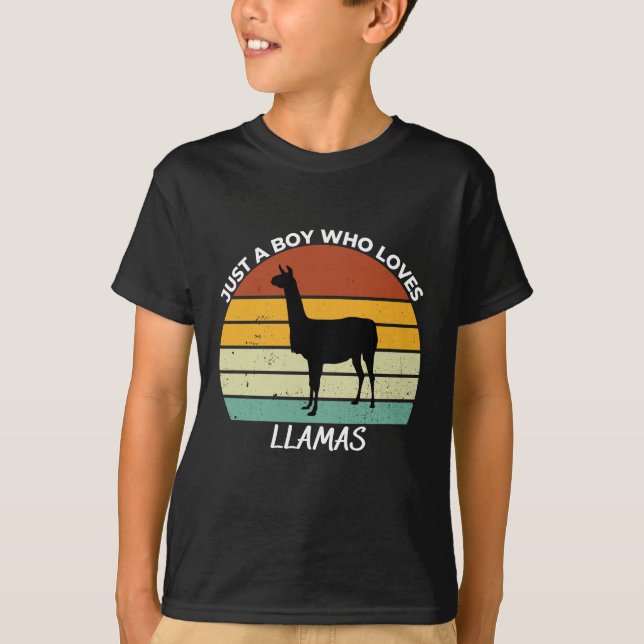 Camiseta Just a boy who loves llamas (Frente)