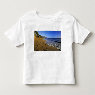 Camiseta Kaanapali Beach, Maui, Havaí, EUA