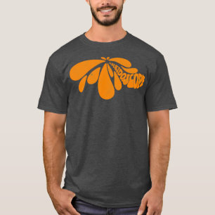 Camiseta Kaleidoscope 70s Bandas Psicodélicas que nunca ouv