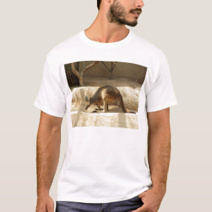 Camiseta Kangaroo