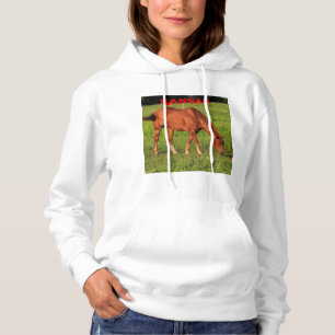 Camiseta Kansas Horse em um Hoodie de pasture