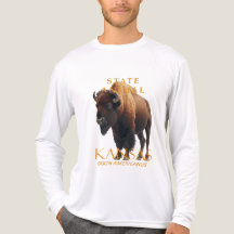 Kansas Territory Animal Bison Americanus