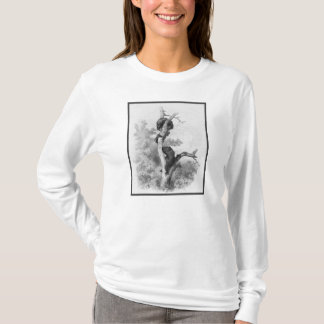Camiseta Karl Bodmer - Les Ours Bears