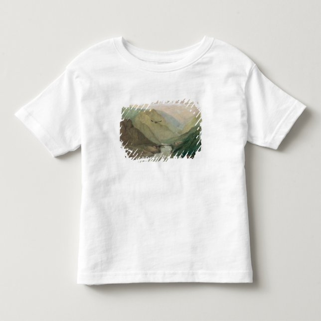 Camiseta Kashmir, c.1860 (Frente)