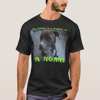Camiseta Kashmir/T de Norml