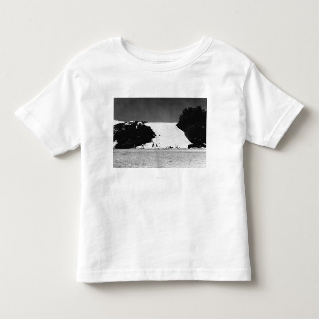 Camiseta Kauai, Havaí - vista de areias do descascamento (Frente)