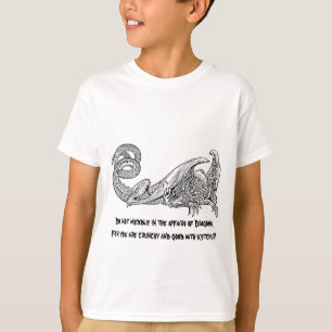 Camiseta Ketchup 2 do dragão