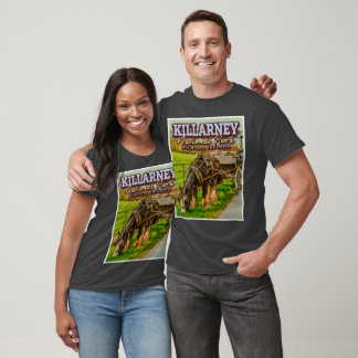 CAMISETA KILLARNEY NATIONAL PARK - KILLARNEY IRLANDA