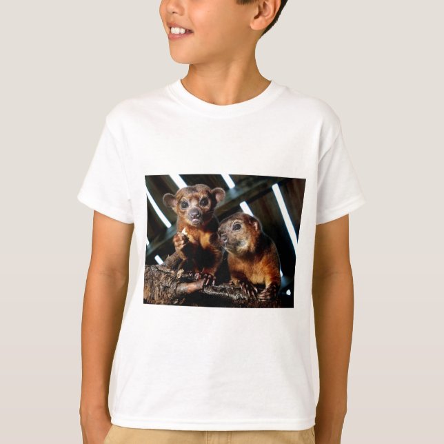 Camiseta Kinkajous (Frente)