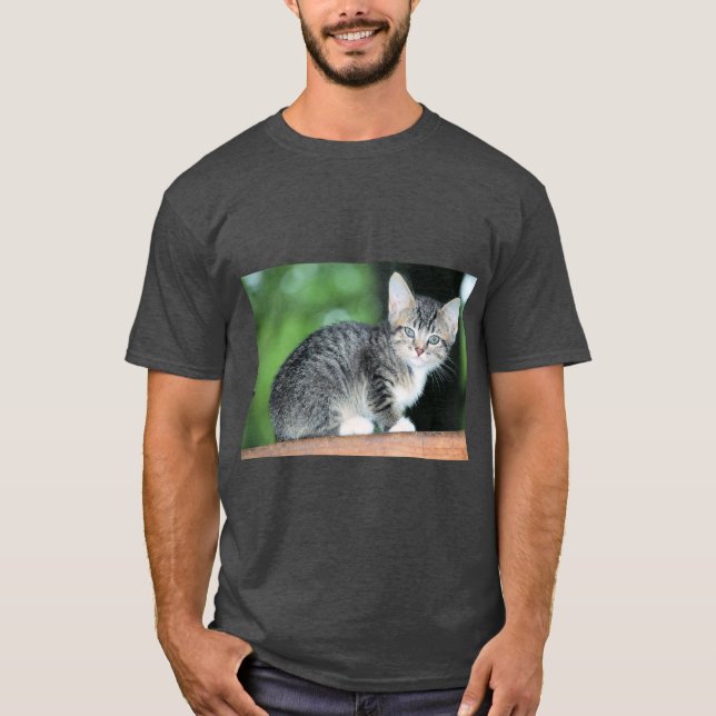 Camiseta Kitten (Frente)