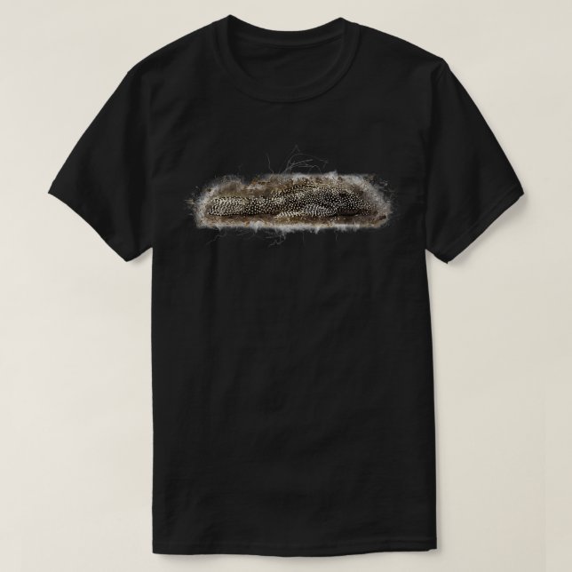 Camiseta L 262 Guiné Peixes-voadores Hypancistrus sp (Frente do Design)