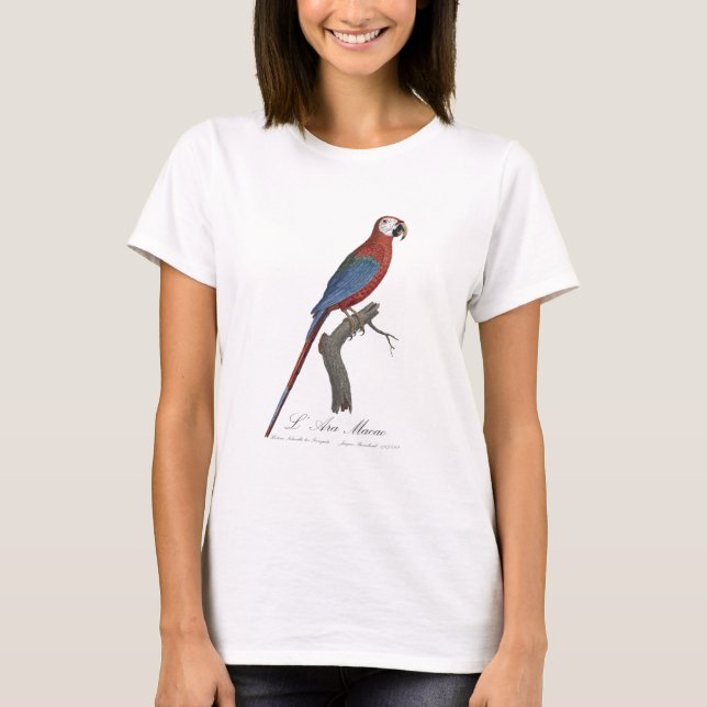 Camiseta L' Ara Macao / Red and green Macaw (Frente)