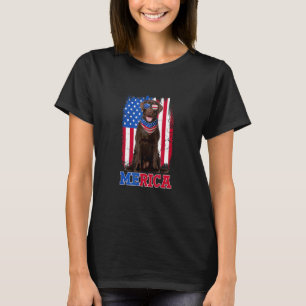 Camiseta Laboratório de Chocolate de Merica e Bandeira dos
