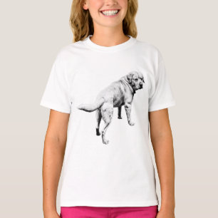 Camiseta Laboratório de Viragem, fácil montagem