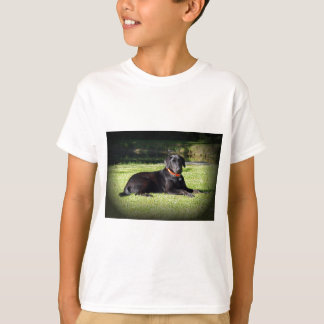 Camiseta Laboratório preto