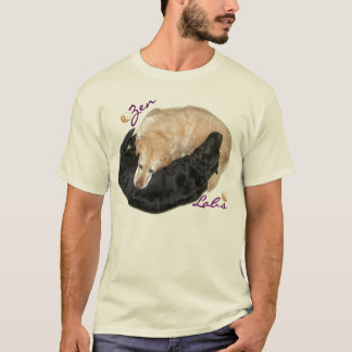 Camiseta Laboratórios do zen desencapados