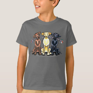 Camiseta Laboratórios em uma corda