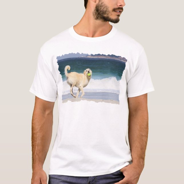 Camiseta Labradoodle - dia feliz na praia (Frente)