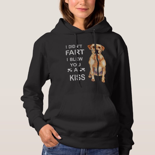 Camiseta Labrador de Cachorros|Labrador, eu não te dei um b (Frente)