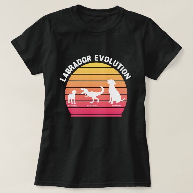 Camiseta Labrador Evolution Engraçado Silhueta Branca Sunse (Frente do Design)